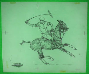 Paul Brown Polo Pencil On Acetate Drawing 2