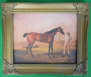 "The Racehorse Molly Long Legs After George Stubbs" Oleograph on Canvas