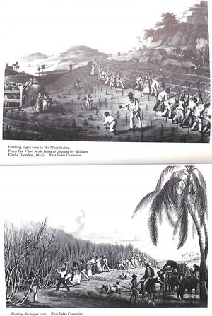 "A History Of Barbados" 1972 TREE, Ronald (INSCRIBED)