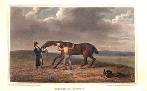 "British Field Sports; Shooting-Hunting-Coursing-Racing-Cocking-Fishing, & c." 1818 SCOTT, William Henry