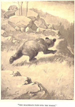 "The Biography Of A Grizzly" 1900 THOMPSON, Ernest Seton