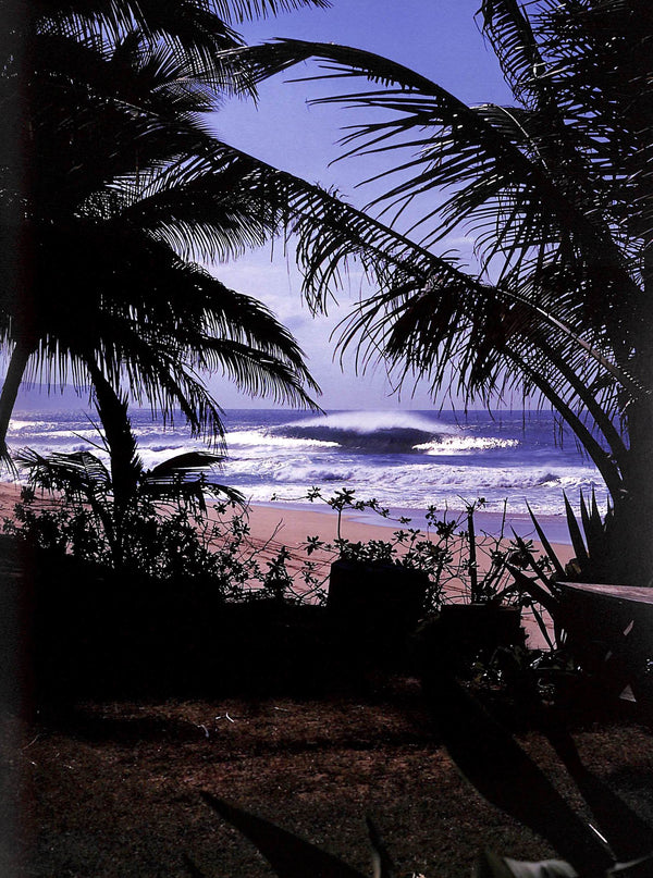 John Severson's Surf