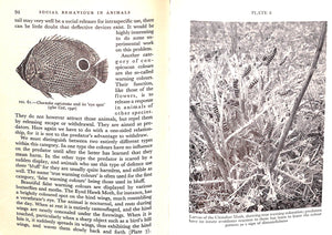"Social Behaviour In Animals With Special Reference To Vertebrates" 1965 TINBERGEN, N.