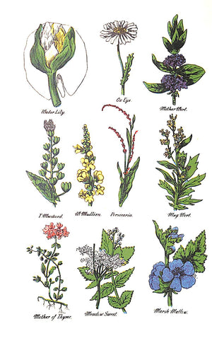 "Culpeper's Complete Herbal" 1975 CULPEPER, Nicholas