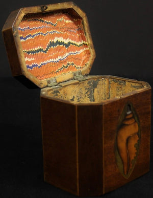 19th Century Shell Marquetry Tea Caddy