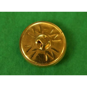 "Polo RL Brass Waterbury Blazer Buttons" 5 Sleeve & 4 Frontal (SOLD)