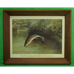 Authorized Orvis Dealer Leaping Trout Color-Plate by S.A Kilbourne 1878