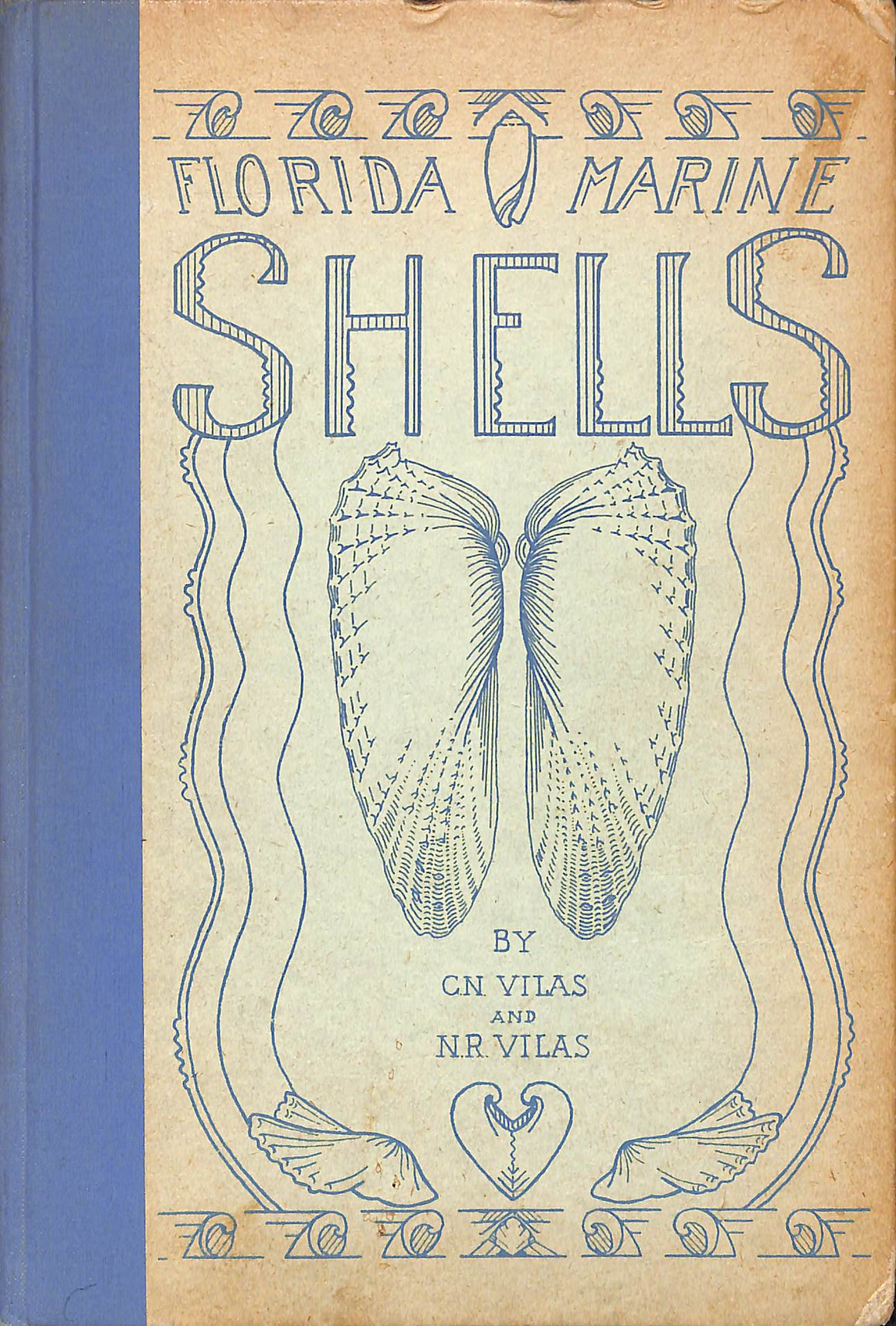 "Florida Marine Shells" 1945 VILAS, G.N. & N.R. (SOLD)