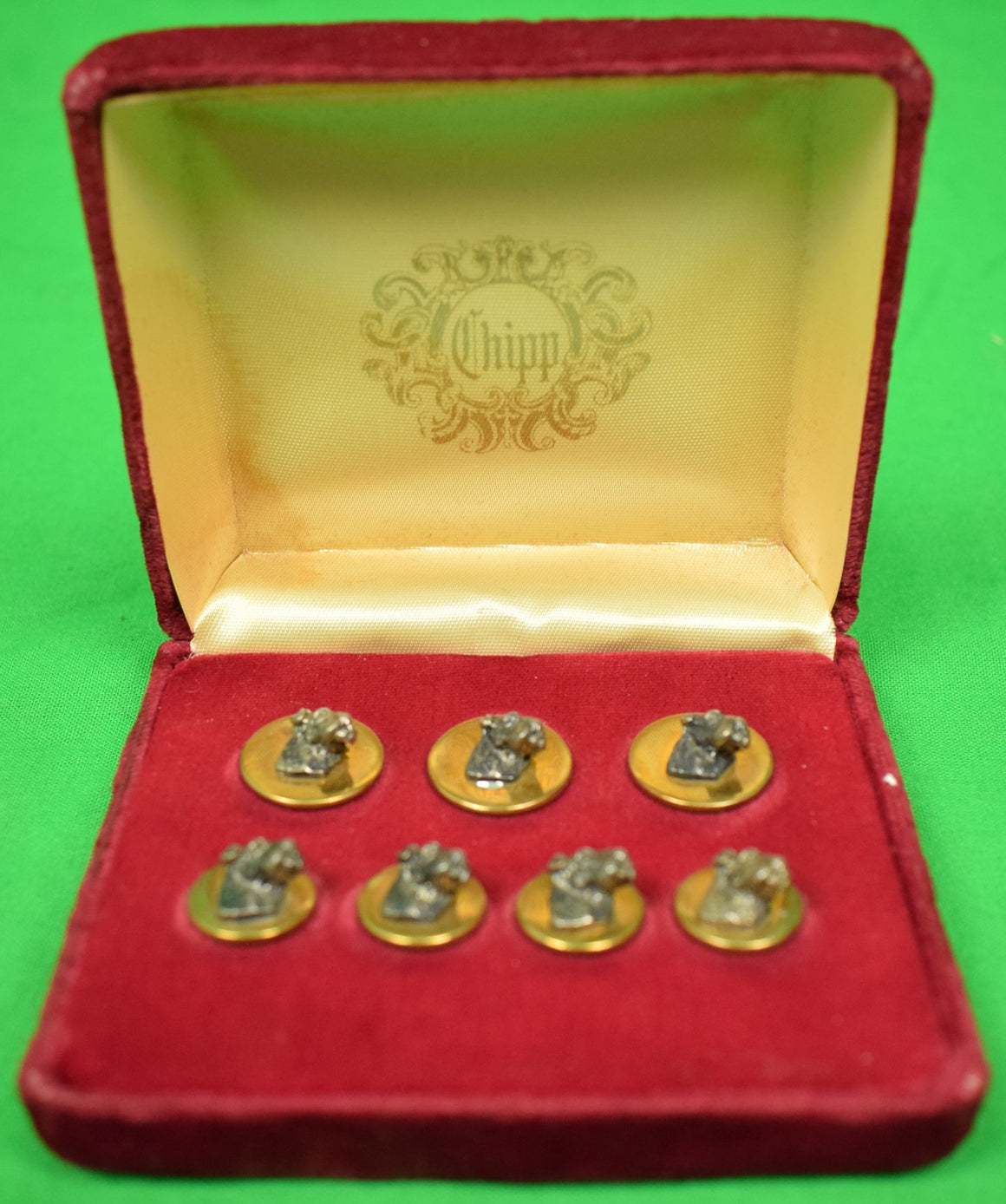 "Chipp Dog-Head Brass Blazer Buttons" (New/ Old Stock in Box)
