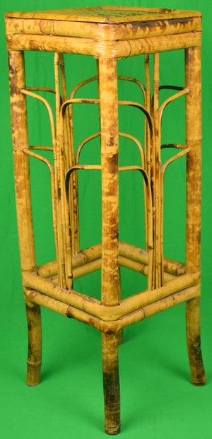 "Bamboo Plant/ Lamp Stand"