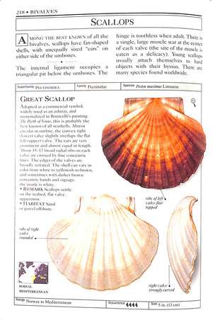 "Shells: The Visual Guide To More Than 500 Species Of Seashells From Around The World" 1992 DANCE, S. Peter