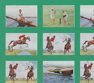 Suite Of 13 Sporting Cigarette Cards