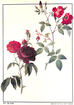 "Les Roses" 1988 REDOUTE, Pierre-Joseph