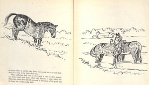 Original 1944 Pencil Drawing From Hi, Guy! The Cinderella Horse By Paul Brown 17