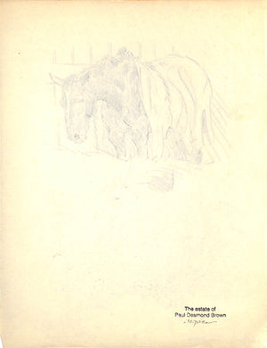 Original 1944 Pencil Drawing From Hi, Guy! The Cinderella Horse By Paul Brown 19