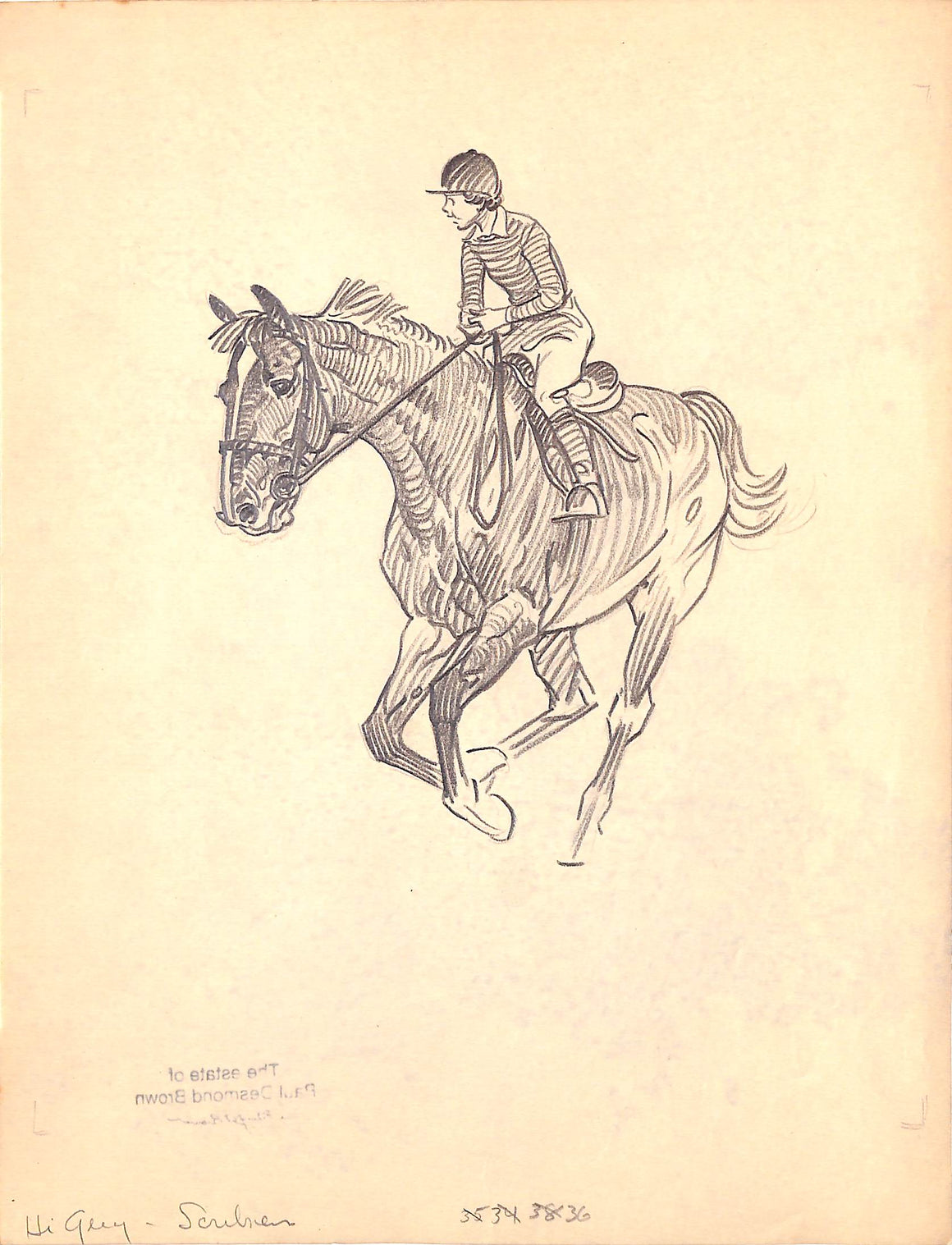 Original 1944 Pencil Drawing From Hi, Guy! The Cinderella Horse By Paul Brown 39