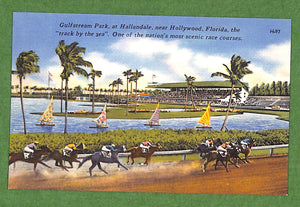 Gulfstream Park, At Hallandale, "The Track By The Sea" Postcard