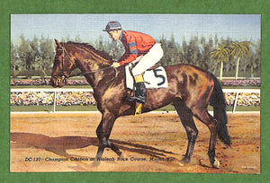 Champion Citation At Hialeah Race Course, Miami, Fla. Postcard