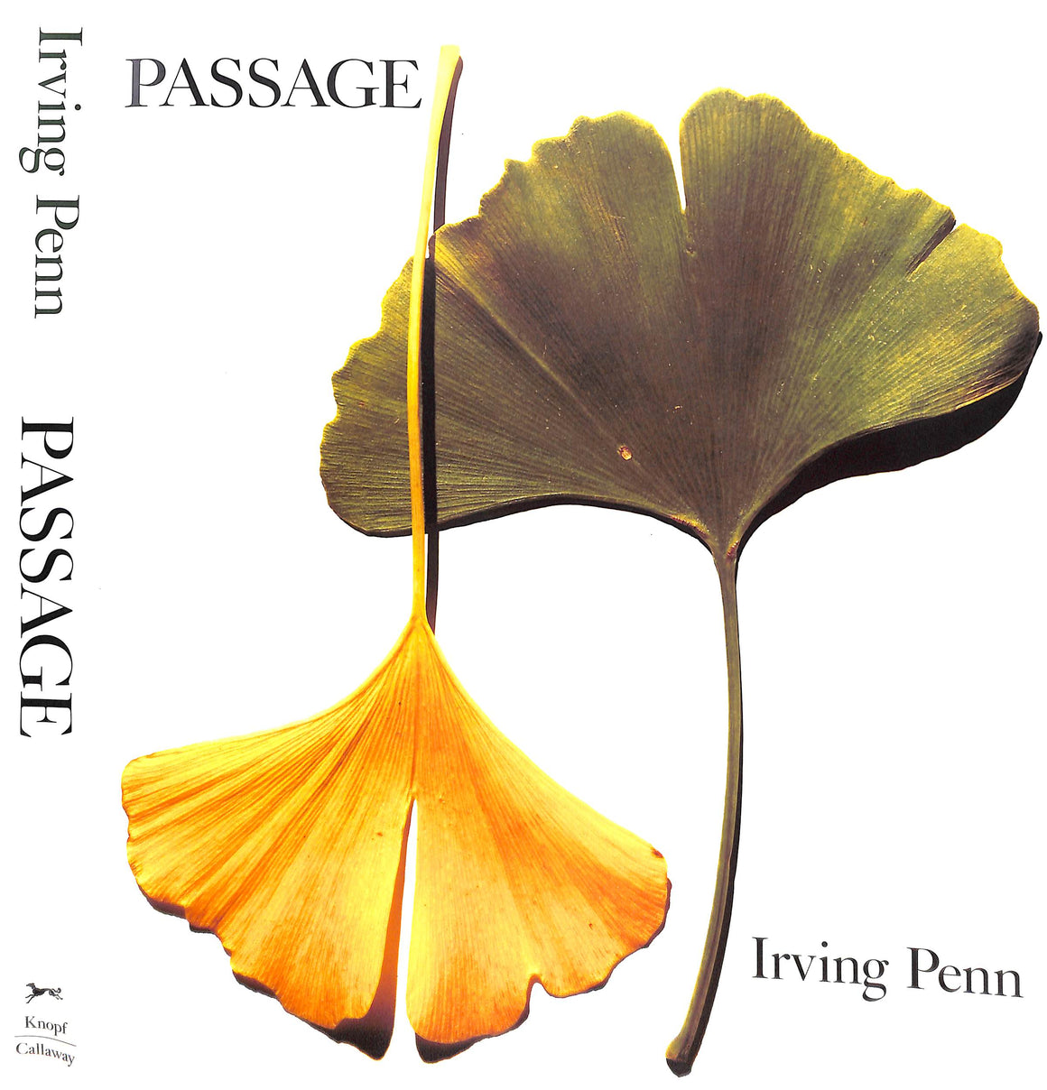 "Passage A Work Record" 1991 PENN, Irving (SIGNED)