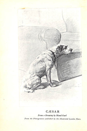 "Where's Master? By Caesar The King's Dog" 1910
