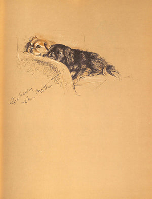"Dogs Rough And Smooth" 1937 DAWSON, Lucy