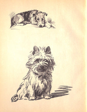"Dogs As I See Them" 1936 by Lucy Dawson