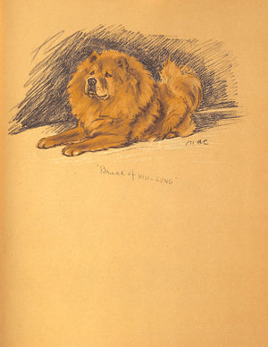 "Dogs As I See Them" 1936 by Lucy Dawson