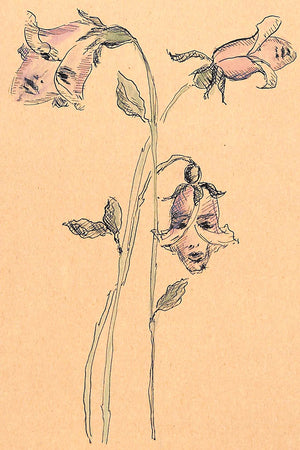 Lanvin Paris Lady Flower Buds c1950s Advertising Artwork
