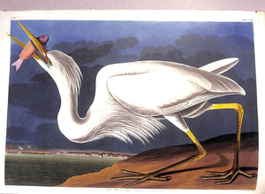 The Magnificent Sachsen-Meiningen Set of Audubon's The Birds Of America 2004 Christie's