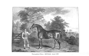 "Horse-Breeding In England & India And Army Horses Abroad" 1901 GILBEY, Sir Walter Bart.