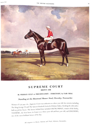 The British Racehorse: Spring Issue 1955