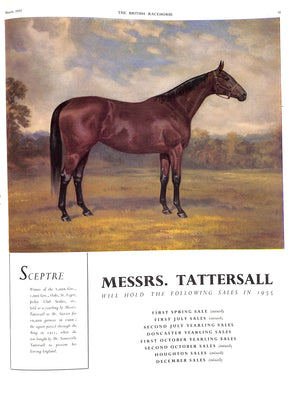 The British Racehorse: Spring Issue 1955