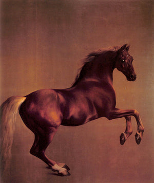 "George Stubbs 1724-1806" 1985