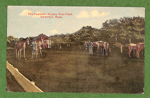 Myopia Hunt Club The Paddock, Myopia Polo Field, Hamilton, Mass. c1911 Postcard