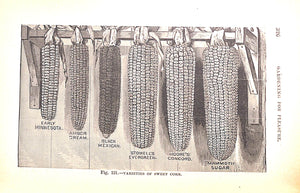 "Gardening For Pleasure A Guide To The Amateur In The Fruit, Vegetable And Flower Garden" 1900 HENDERSON, Peter