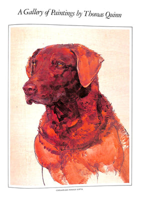 "The Working Retrievers" 1983 QUINN, Tom