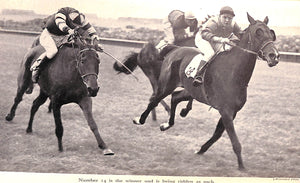 "Training The Racehorse" STEWART, Lt.-Col. P.D.