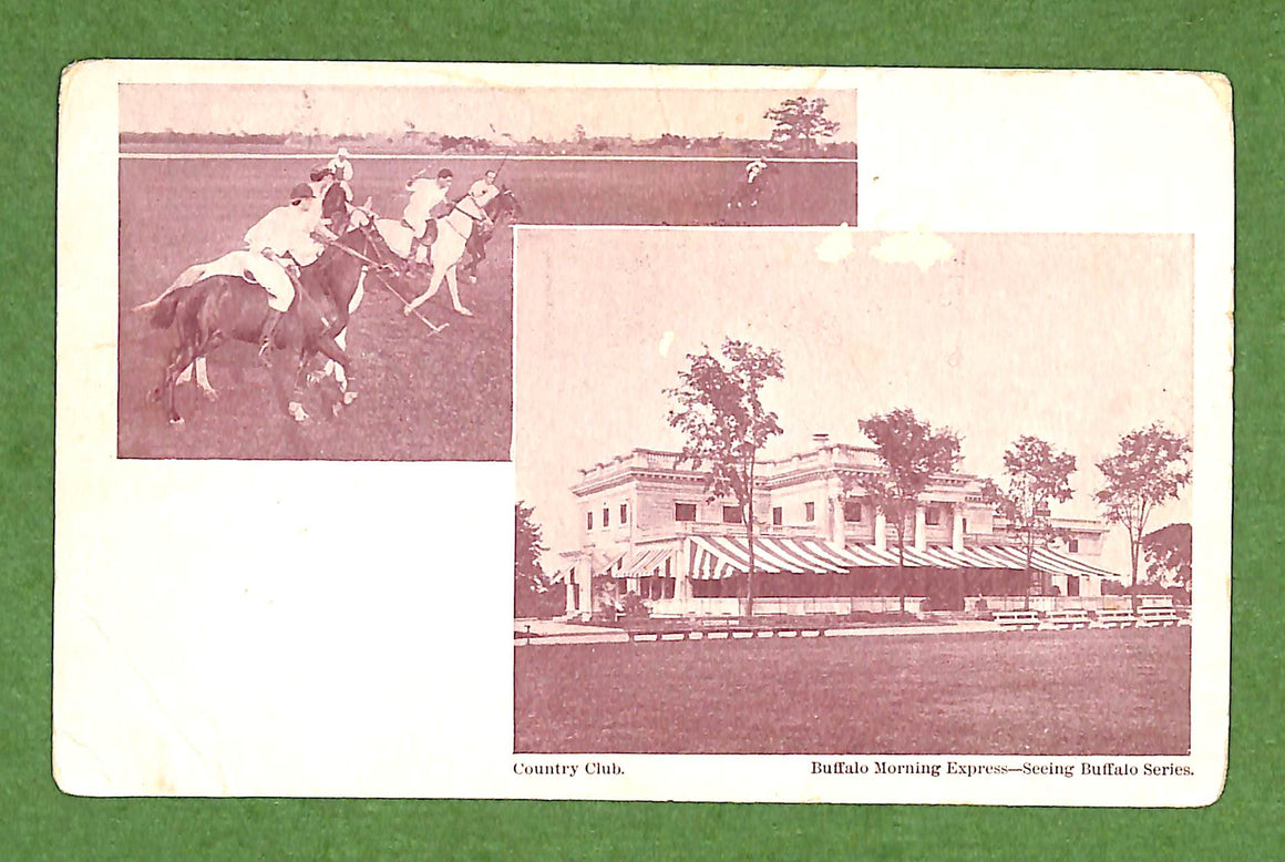Buffalo Country Club Polo Match c1910s Postcard