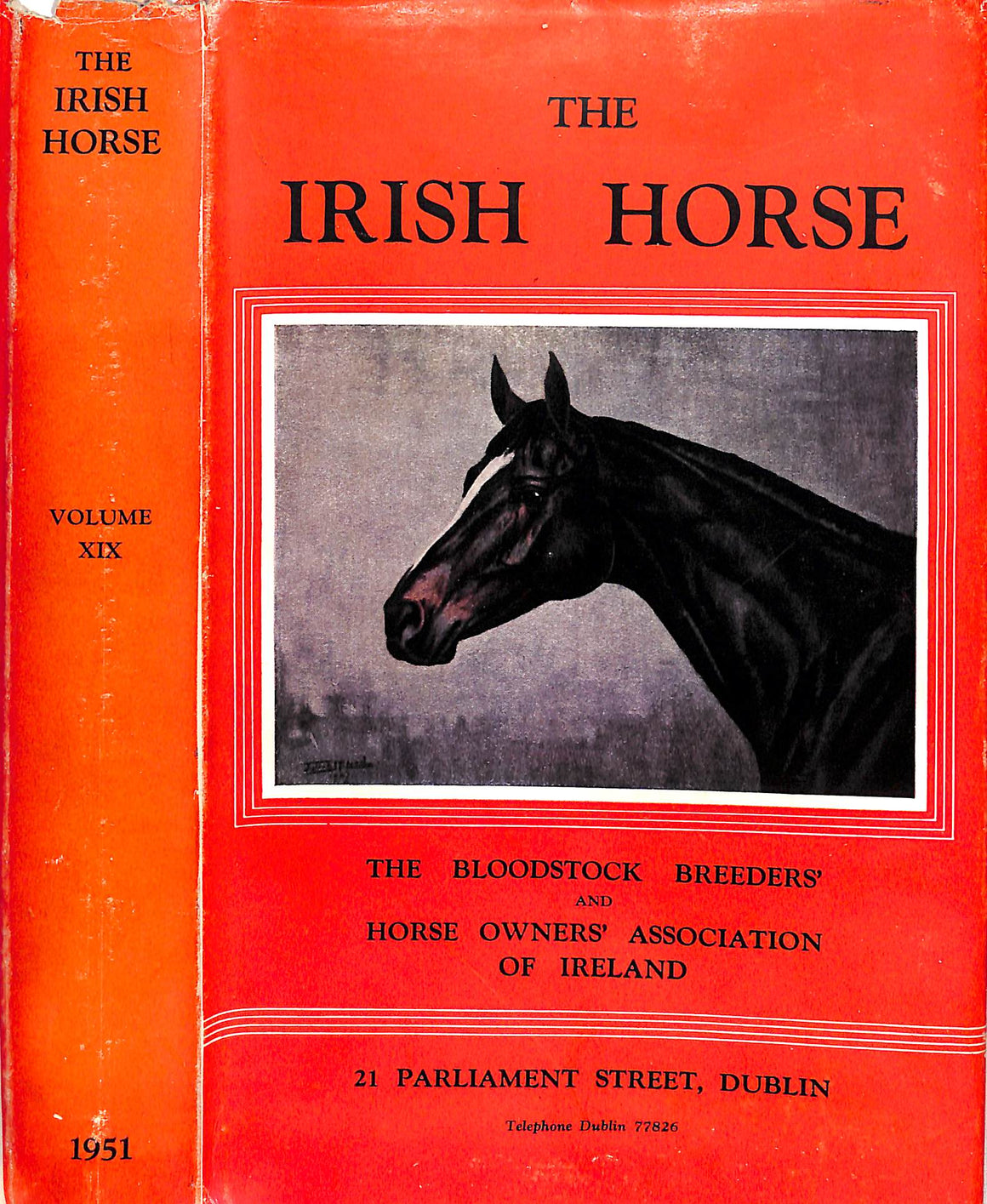 "The Irish Horse" 1951