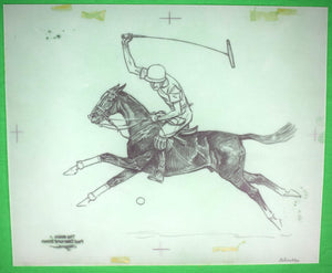 Paul Brown Polo Pencil On Acetate Drawing 4