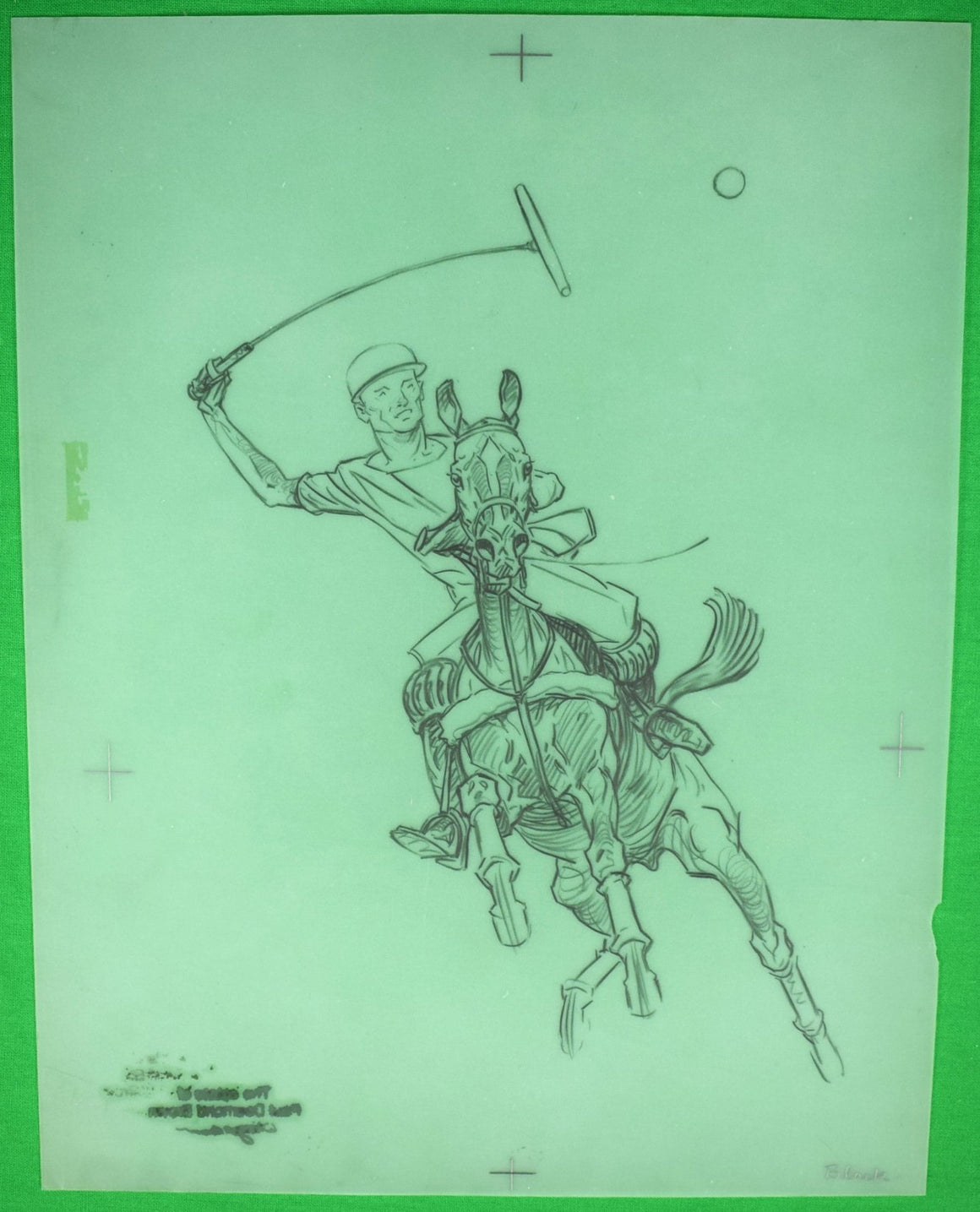 Paul Brown Polo Pencil On Acetate Drawing 9