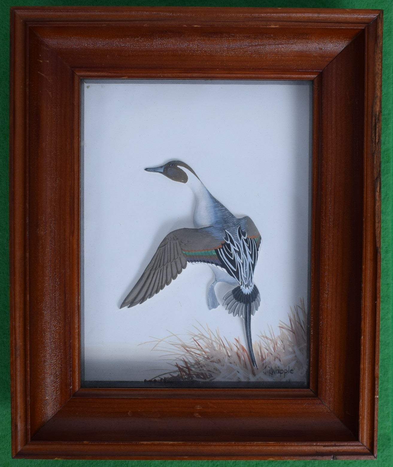 Abercrombie & Fitch x Joseph Q. Whipple Hand Painted Pintail Duck Shadowbox