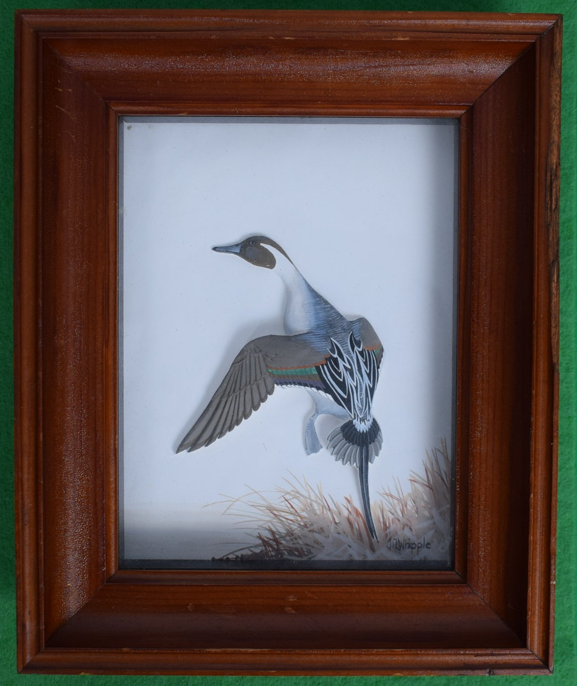 Abercrombie & Fitch x Joseph Q. Whipple Hand Painted Pintail Duck Shadowbox