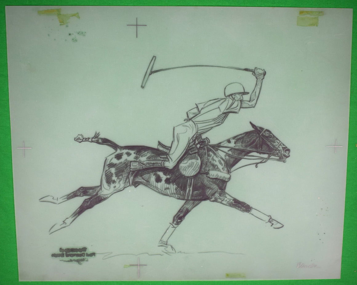 Paul Brown Polo Pencil On Acetate Drawing 3