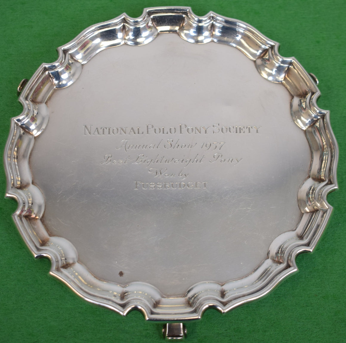 National Polo Pony Society Annual Show 1937 Best Lightweight Pony Won By Fuss Budget Sterling Trophy Tray