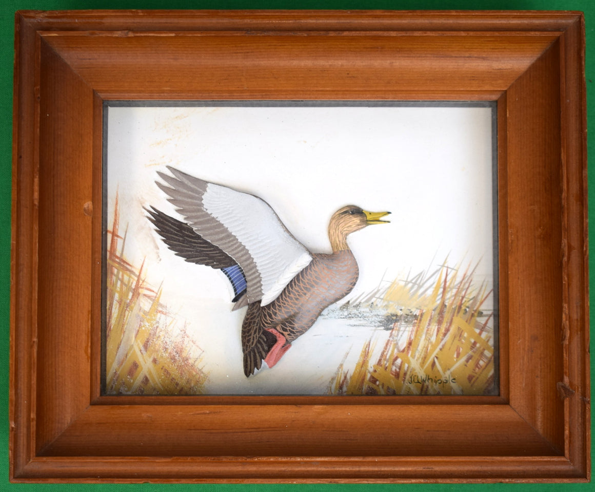 Abercrombie & Fitch x Joseph Q. Whipple Canvas-Back Duck Diorama