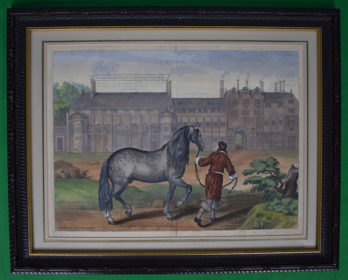 Welbeck. Nobilissimo Coursier Nappolitain. Fol. 9 from the book 'Methode et Invention Nouvelle de dresser les chevaux' French Equestrian Hand-Colored Engraving Provenance: The Susie Hilfiger Collection (SOLD)