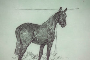 Paul Brown Polo Pencil On Acetate Drawing 15