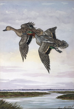 "Two Ducks In Flight Over Marsh" Watercolour Ex- C.Z. Guest Estate