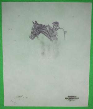 Paul Brown Polo Pencil On Acetate Drawing 13